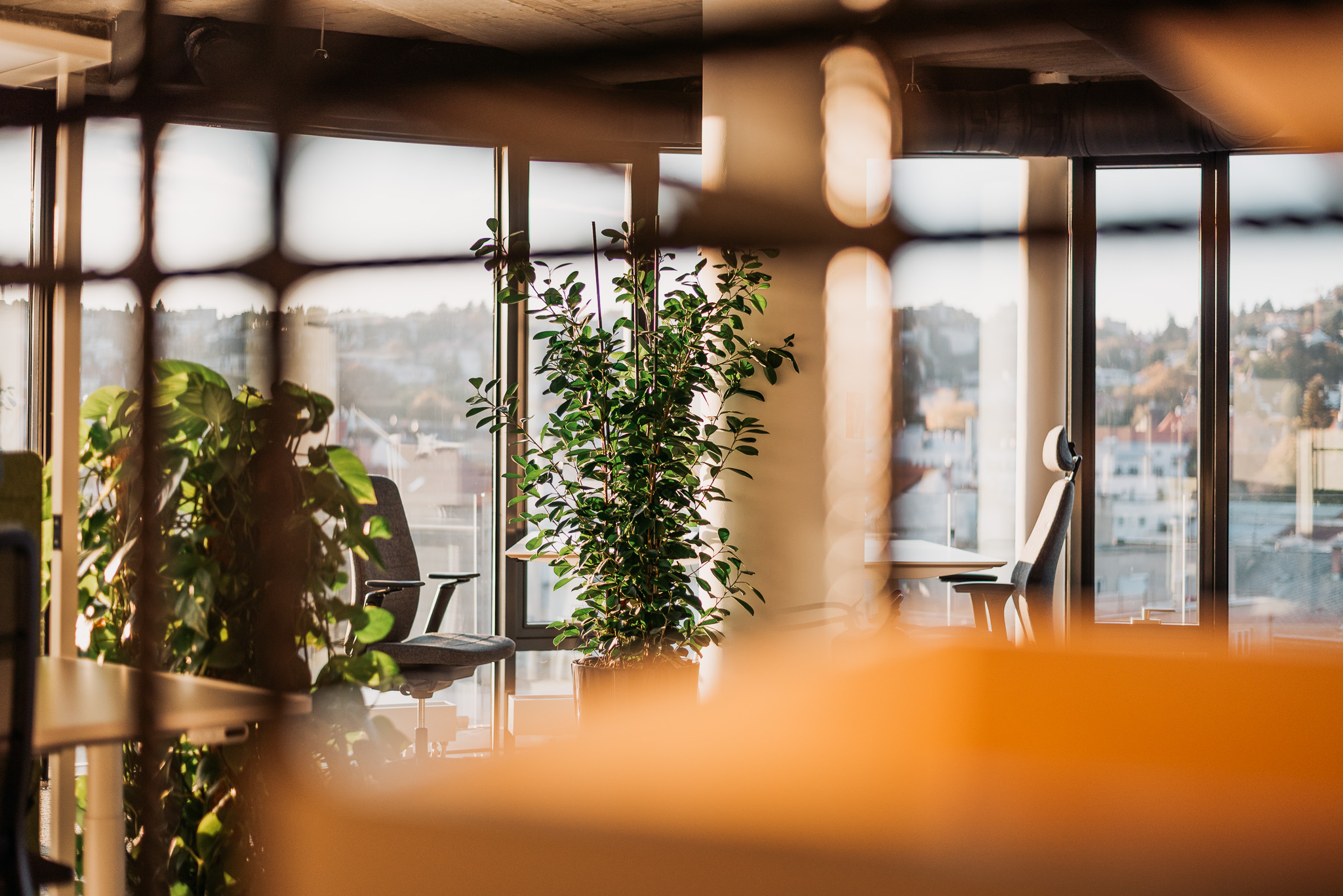 A workplace floor with a shared table, focus seating and meeting rooms beyond