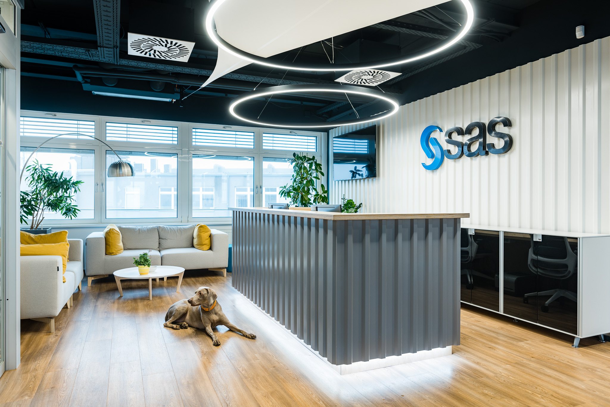 SAS